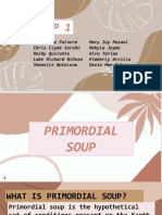 g1 Primordialsoup