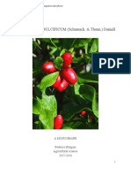 Federico Holguin Lloreda: Synsepalum dulcificum monograph