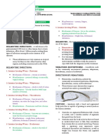 PHARMACOLOGY-MIDTERM