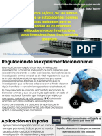Ley Experimentación Animal