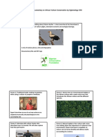 Storyboard For Documentary On African Vulture Conservation Updated