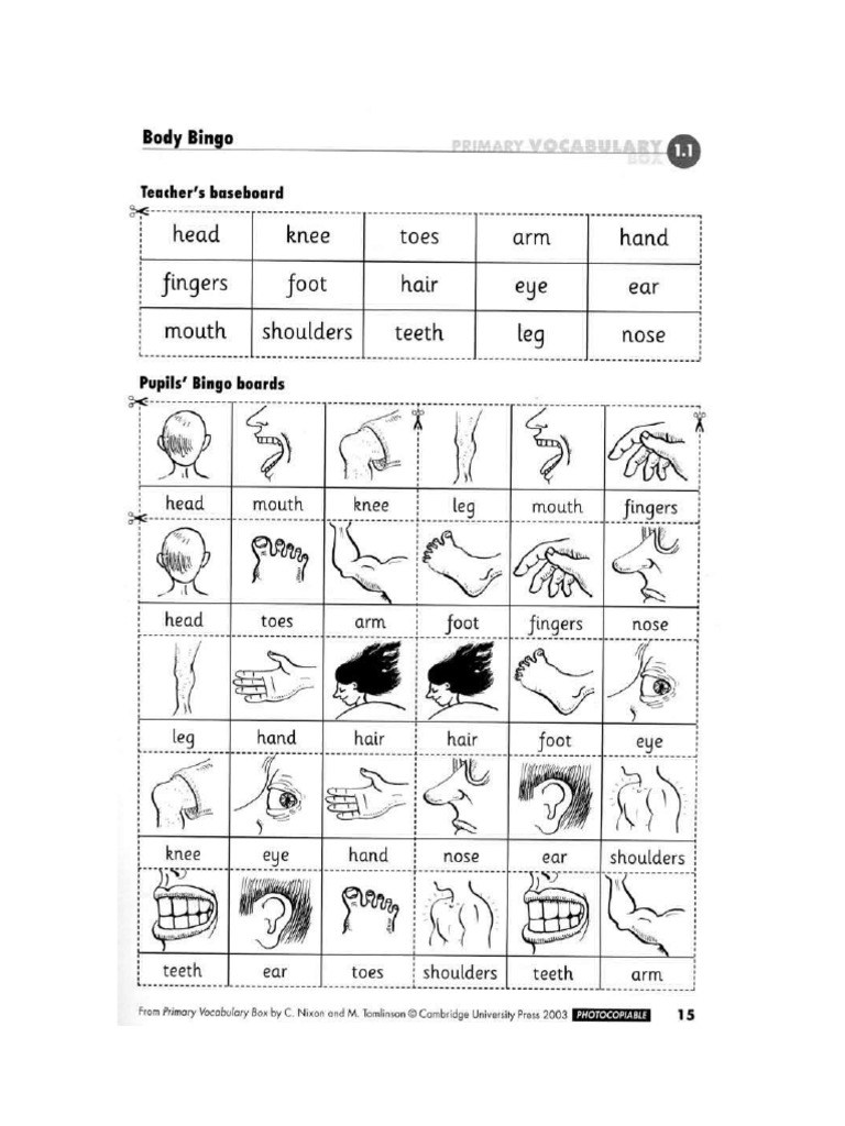 Body Parts Bingo | PDF