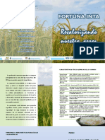 EEA INTA Corrientes: Características y manejo del cultivar de arroz Fortuna-INTA