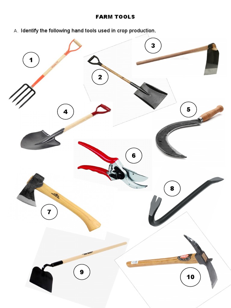 Tle 7 Farm Tools Activity | PDF | Agricultural Machinery | Botany