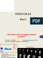 Stem Cell-2022-Part-1