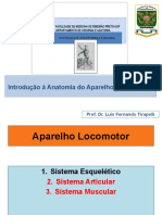 Introdução Ao Aparelho Locomotor Ii 2019