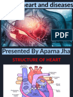 Human Heart Structure and Diseases Explained