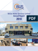 BWS Annual Report 2019