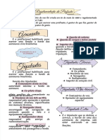 PDF Resumo Rpapdf DD