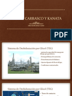 Planta Carrasco y Canata