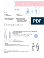 Flossy - Tooth Identification Notes PDF
