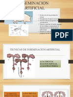 Inseminacion Artificial