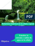 Tema 3. Relaciones Hidricas en La Celula Vegetal (1)