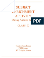 Subject Enrichment Activity