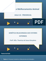 Genética e melhoramento animal: seleção natural e artificial