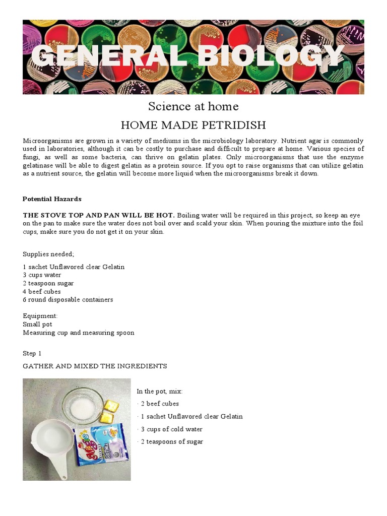 Making Agar Plates PDF Bacteria Agar