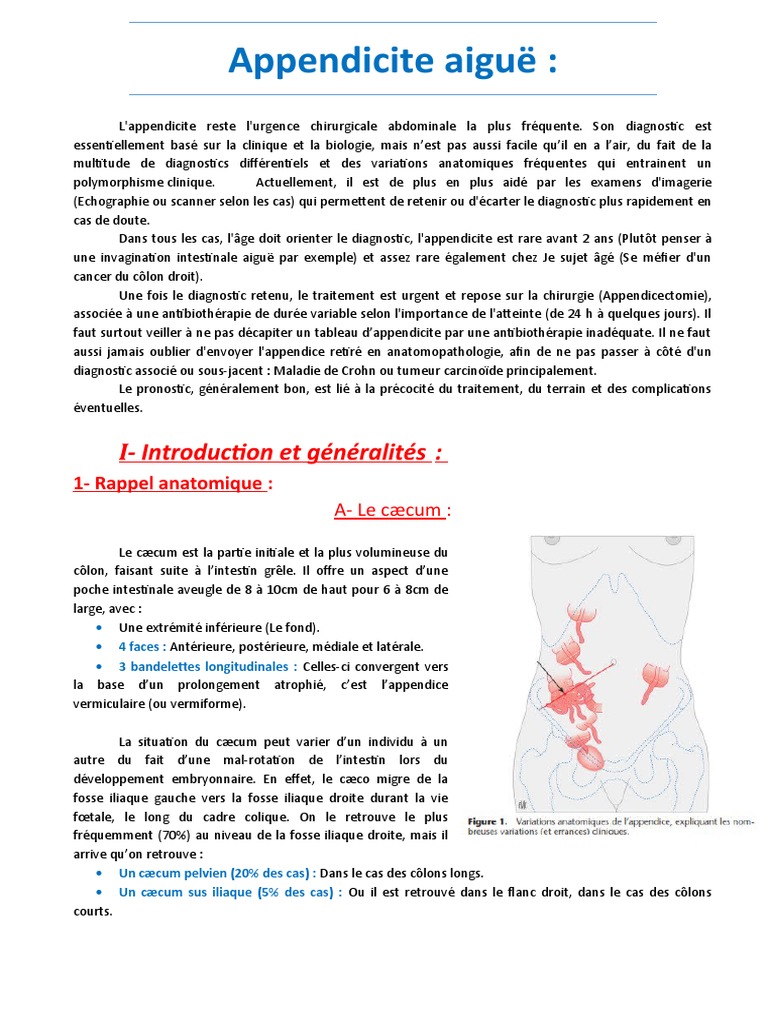 Appendicite : Urgence et Diagnostic | PDF | Spécialités médicales ...