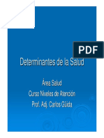 Nas Determinantes08