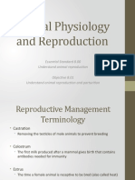 Reproduction and Physiology of Livestock
