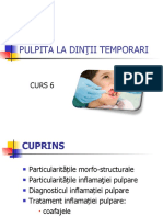 144689375-Curs-6-Pulpita-La-Dintii-Temporari (2)