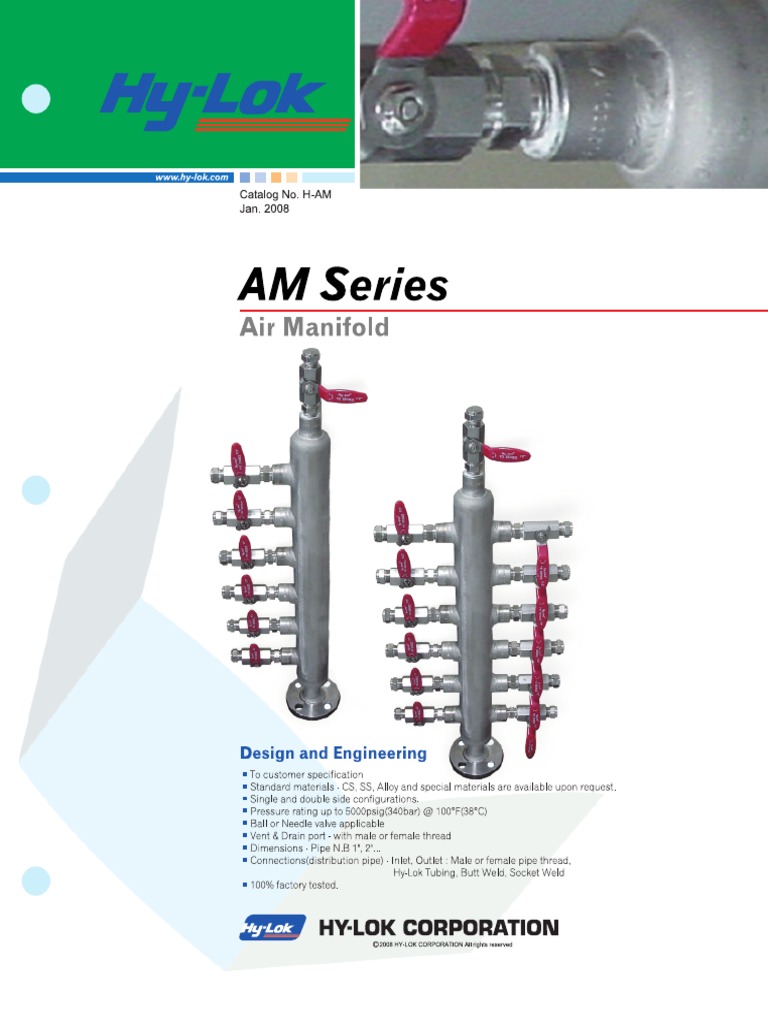 AM Series Air Manifold Valves PDF