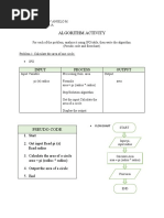 Algorithm Activity