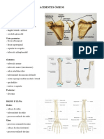 Acidentes Ósseos