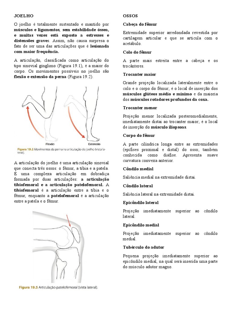 Joelho | PDF | Joelho | Membros (anatomia)