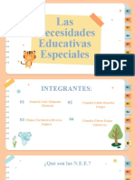 Las Necesidades Educativas Especiales