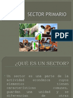 Sector Primario