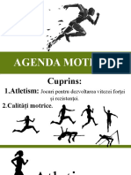 Agenda Motrică