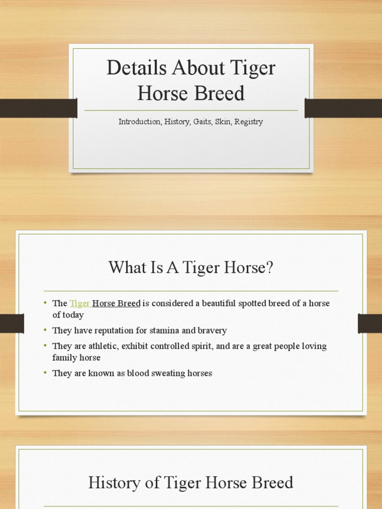 Tiger Horse Breed Registry PDF