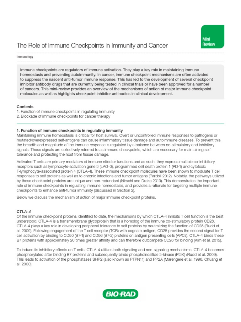 The Role of Immune Checkpoints in Immunity and Cancer | PDF | Immune ...