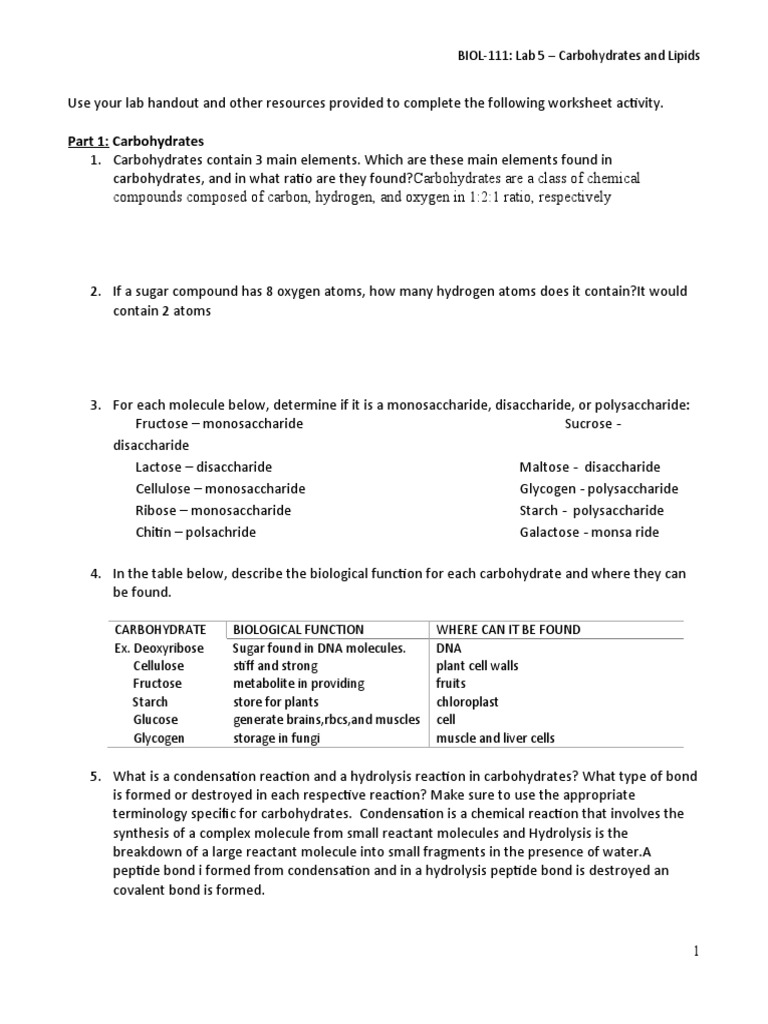 Biol 111 Carbohydrate Lipids Worksheet PDF