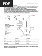 Kami Export - Maxwell Modeste - Photosynthesis Case Study - Killing ...