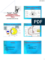 Diagnóstico Oftalmologico