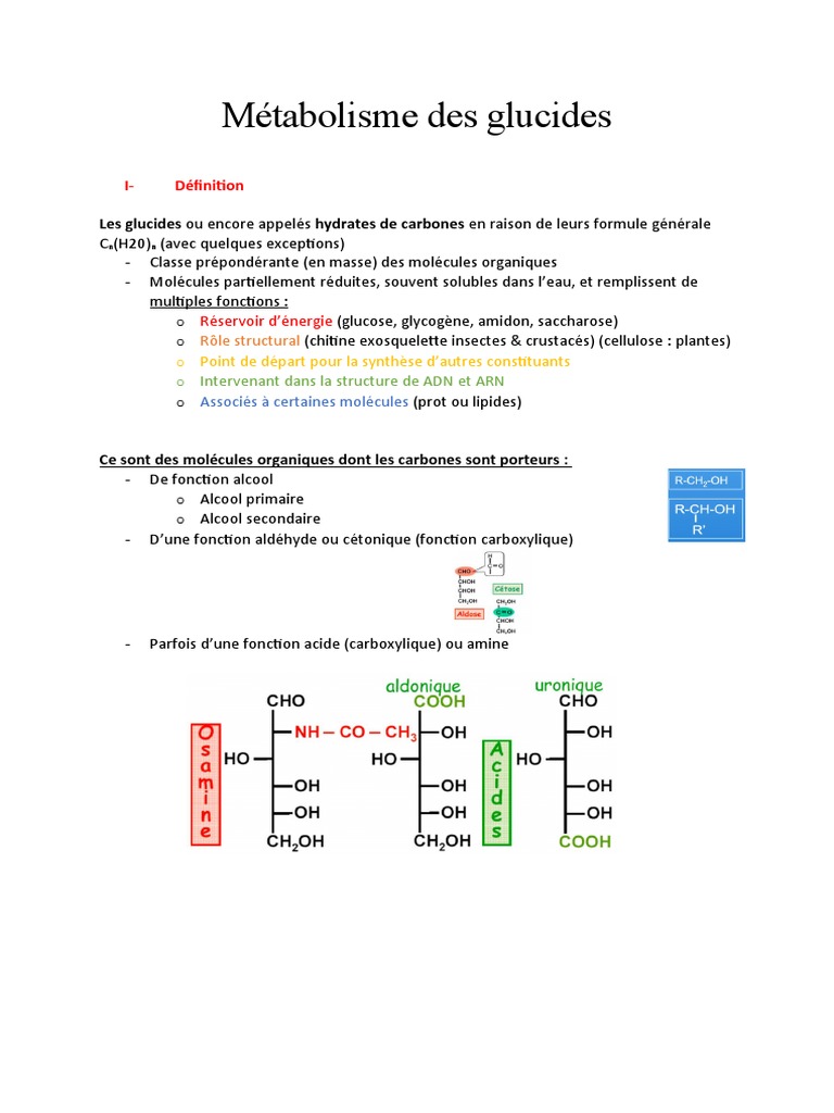 Métabolisme des glucides et liaisons osidiques | PDF | Glucide | Glucose