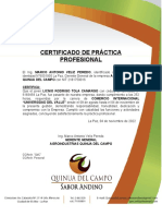 Licnio Rodrigo Tola Camargo Certificado de pasantia