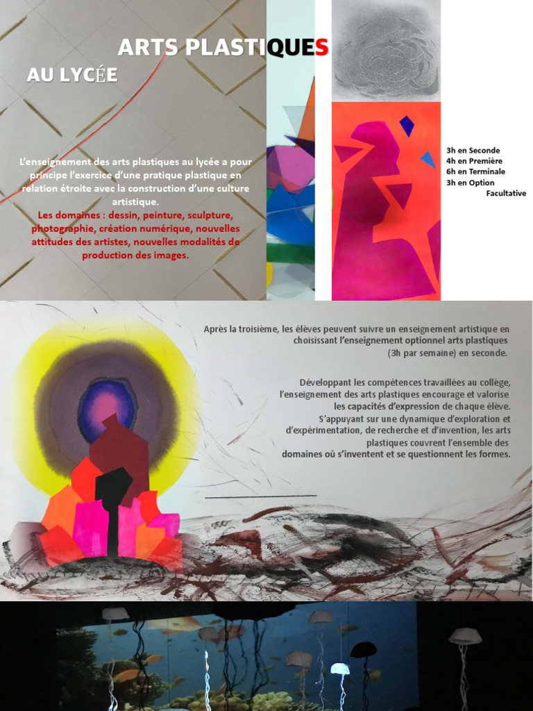 enseignement-des-arts-plastiques-au-lyc-e-pdf-arts-plastiques-arts