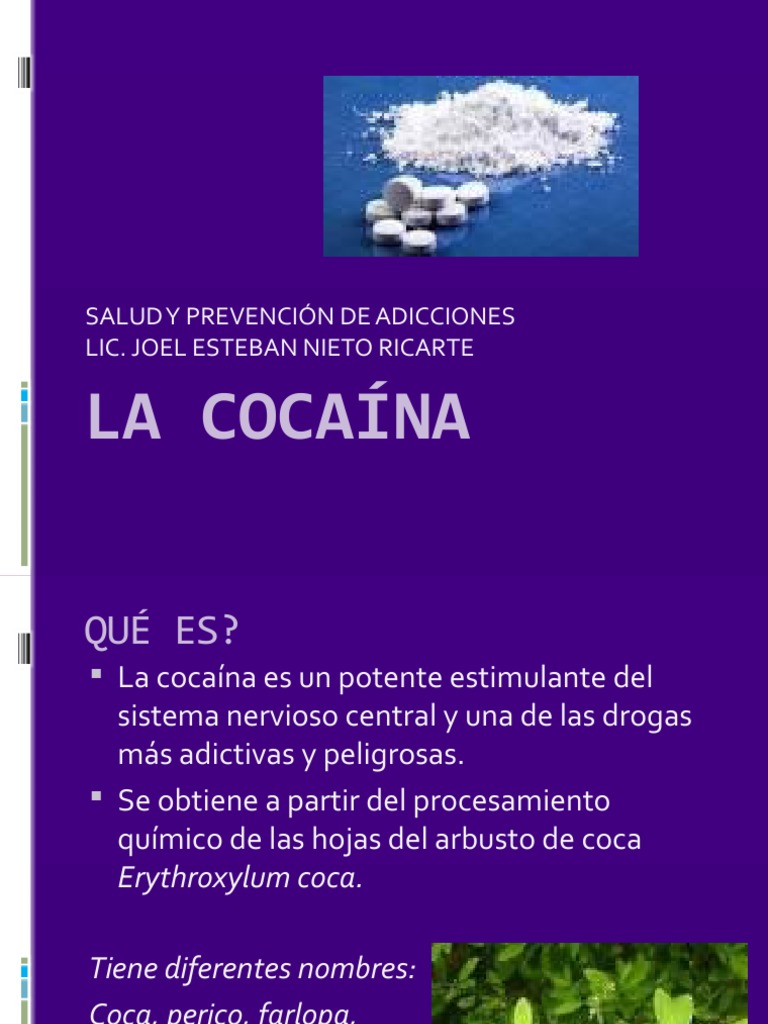la-coca-na-pdf