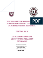 Localización de Órganos Leucopoyeticos Primarios y Secundarios