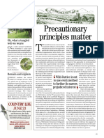 Precautionary Principles Matte