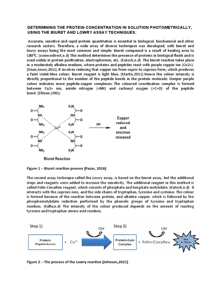 Protein Quantification: Biuret & Lowry Assays | PDF