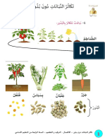 تكاثر النباتات دون بذور