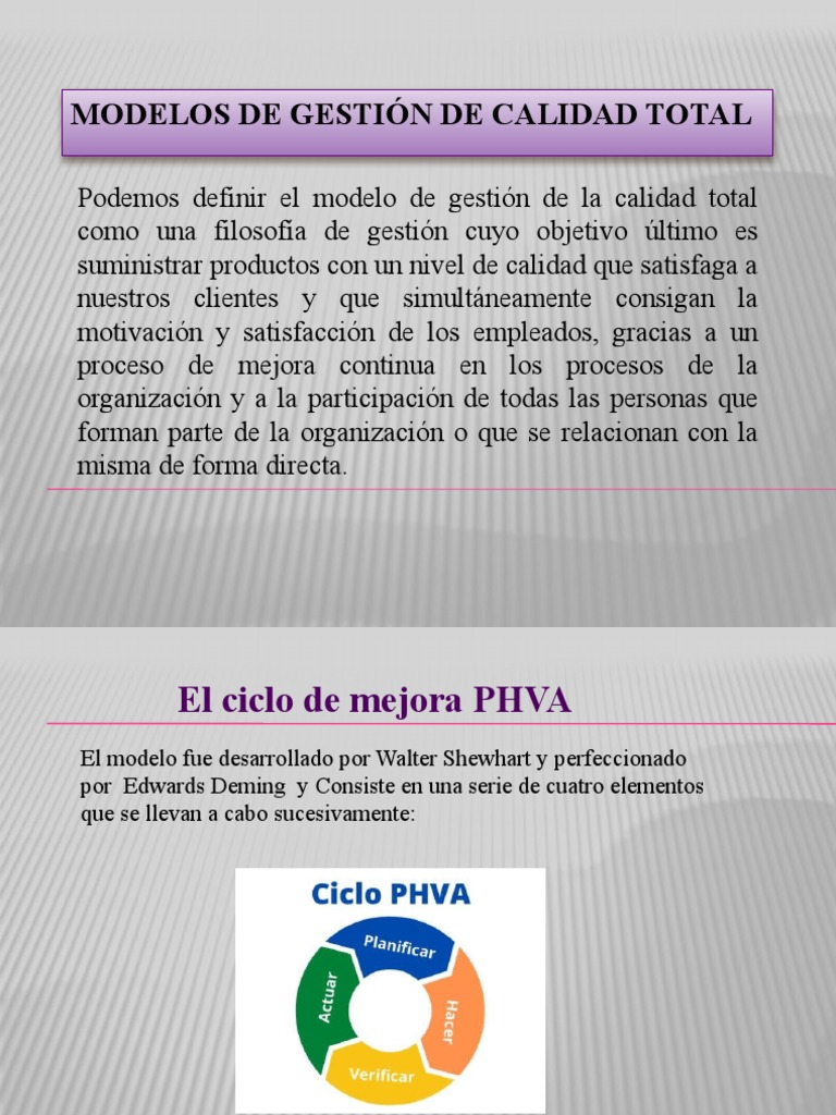 El Modelo de La Gestión de La Calidad Total | PDF | Planificación ...