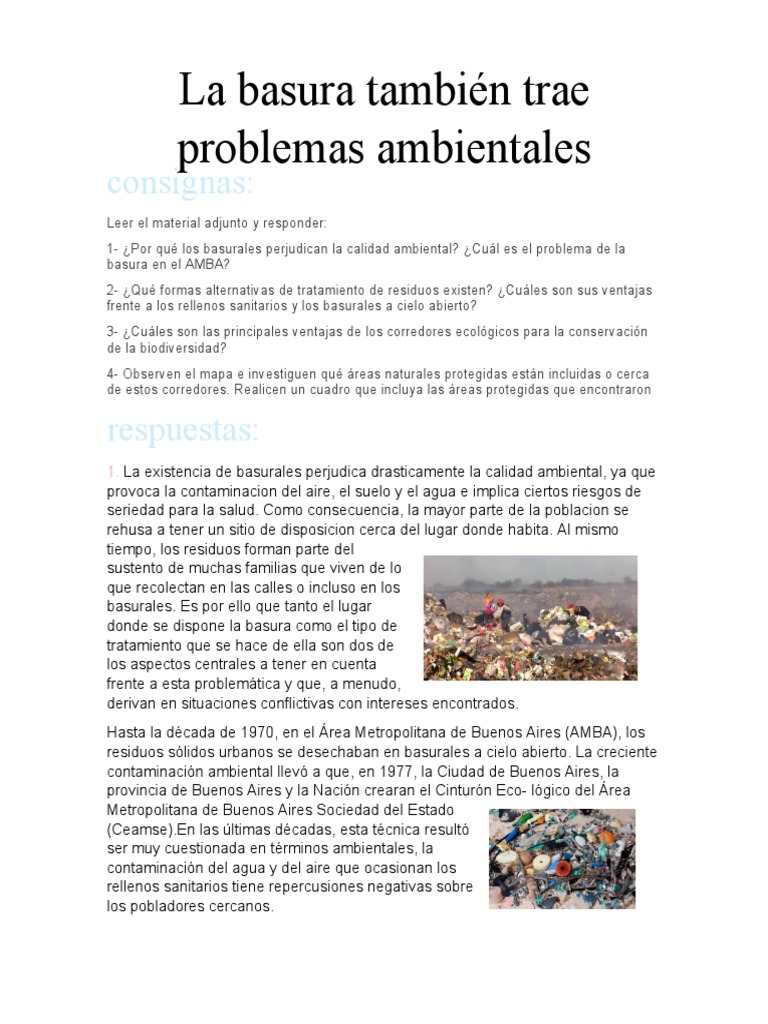 Problemas ambientales de la basura | PDF | Residuos | Vertedero