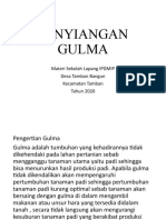 Pengendalian Gulma Secara Pencegahan dan Kimiawi