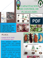 Capacitación de control de plagas en papa