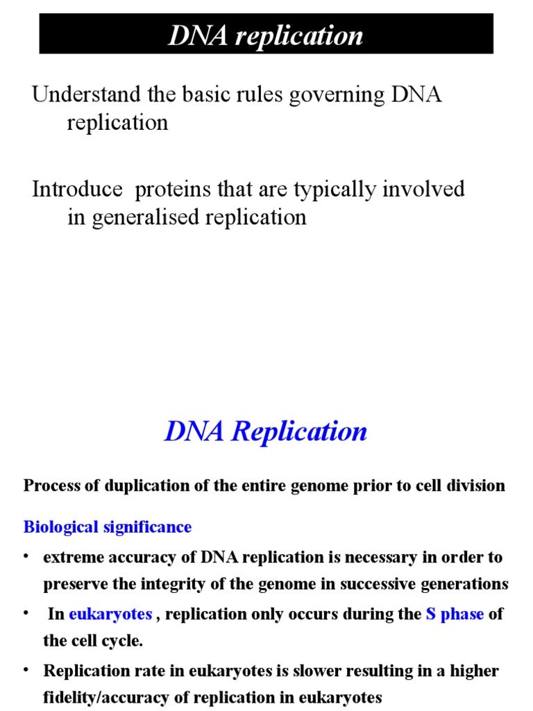 11 DNA Replication PDF Dna Replication Primer (Molecular Biology)