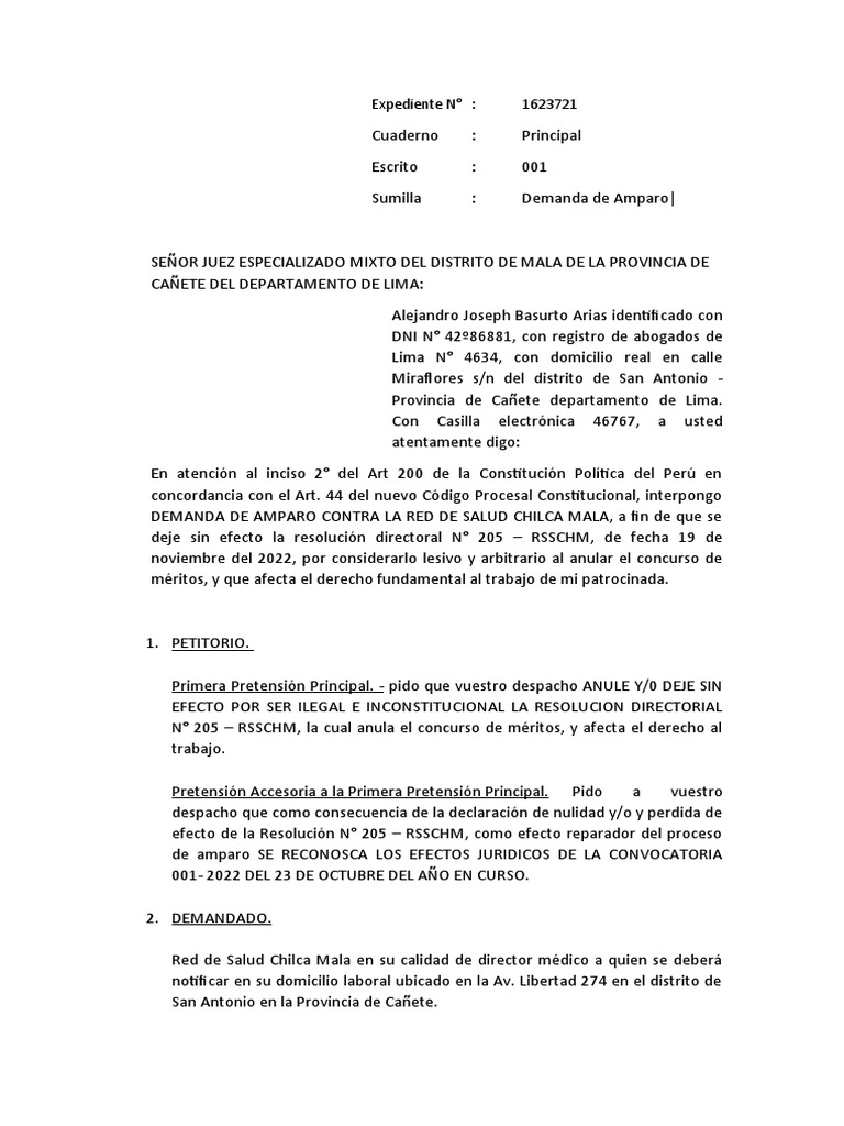 Demanda de Amparo | PDF | Ley constitucional | Justicia